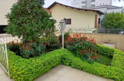 Imagem: Apartamento para Alugar, Vila Mazzei