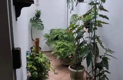 Imagem: Casa Térrea para Venda, Jardim França