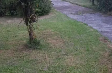 Imagem: Terreno para Venda, Horto Florestal