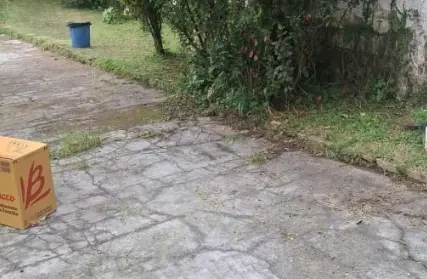 Imagem: Terreno para Venda, Horto Florestal