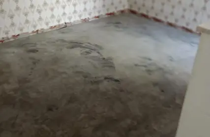 Imagem: Sobrado para Venda, Vila Celeste (Zona Norte)