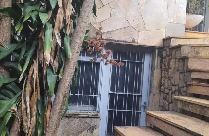 Imagem: Casa Comercial para Alugar, Vila Aurora (Zona Norte)