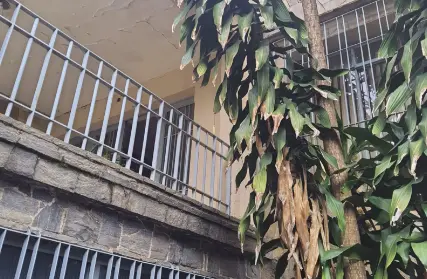 Imagem: Casa Comercial para Alugar, Vila Aurora (Zona Norte)