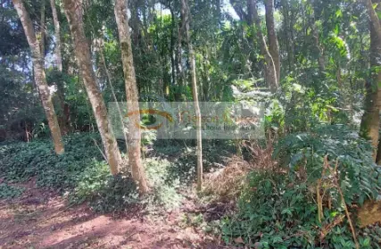 Imagem: Terreno para Venda, Serra da Cantareira