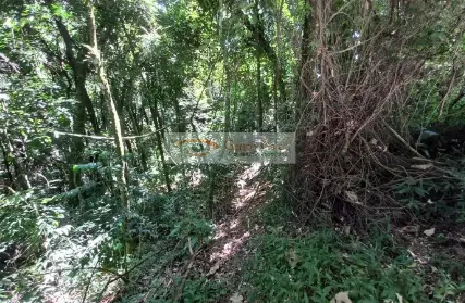 Imagem: Terreno para Venda, Serra da Cantareira