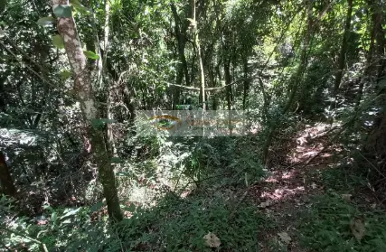 Imagem: Terreno para Venda, Serra da Cantareira