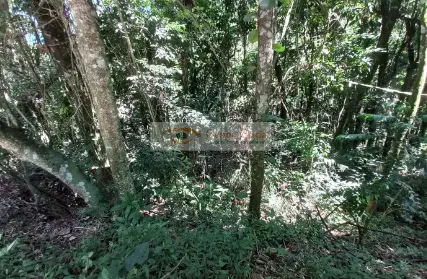 Imagem: Terreno para Venda, Serra da Cantareira