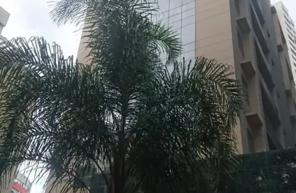 Imagem: Prédio Comercial para Alugar, Vila Gustavo