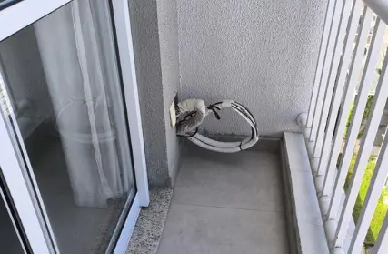 Imagem: Apartamento para Venda, Casa Verde