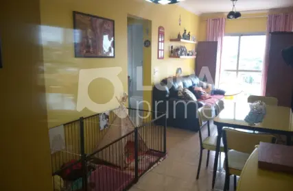 Imagem: Apartamento para Venda, Vila Guilherme