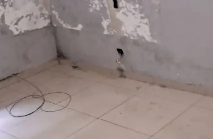 Imagem: Casa Térrea para Alugar, Vila Roque