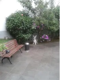 Imagem: Apartamento para Venda, Casa Verde Alta