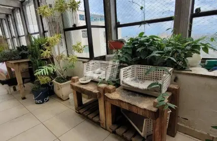 Imagem: Cobertura para Venda, Barro Branco (Zona Norte)