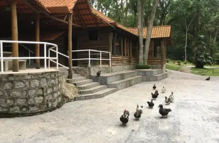 Imagem: Terreno para Venda, Serra da Cantareira