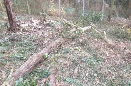 Imagem: Terreno para Venda, Serra da Cantareira