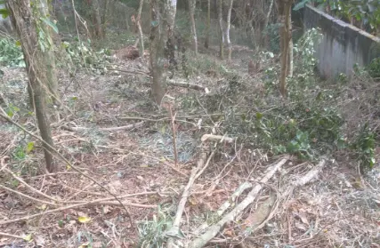 Imagem: Terreno para Venda, Serra da Cantareira