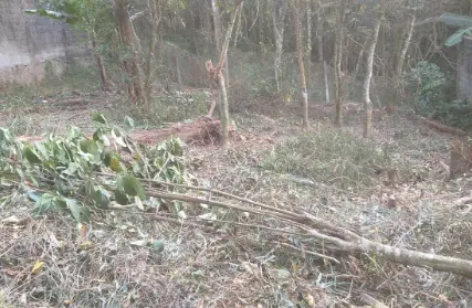 Imagem: Terreno para Venda, Serra da Cantareira