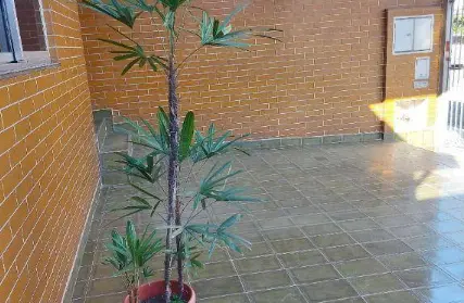 Imagem: Casa Térrea para Venda, Casa Verde