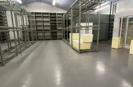 Imagem: Galpão / Salão para Alugar, Casa Verde Média