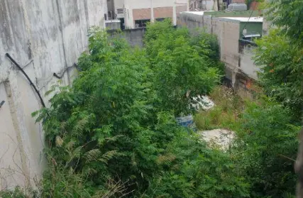 Imagem: Terreno para Venda, Parque Peruche