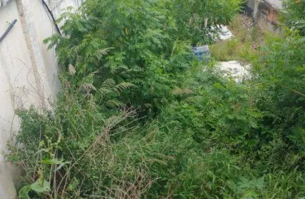 Imagem: Terreno para Venda, Parque Peruche