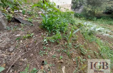 Imagem: Terreno para Venda, Tucuruvi