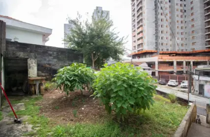 Imagem: Terreno para Venda, Freguesia do Ó