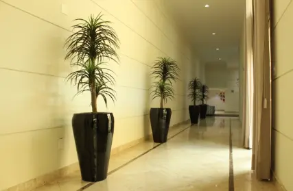 Imagem: Apartamento para Venda, Casa Verde