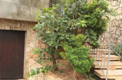 Imagem: Casa Térrea para Venda, Imirim