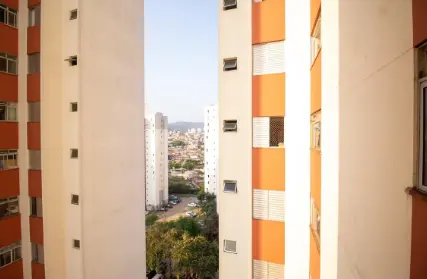 Imagem: Apartamento para Alugar, Vila Bela Vista (Zona Norte)