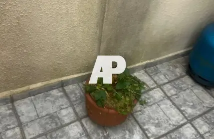 Imagem: Sobrado para Venda, Vila Maria Alta