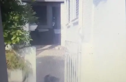 Imagem: Casa Térrea para Alugar, Vila Mazzei