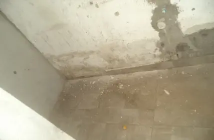 Imagem: Galpão / Salão para Alugar, Jardim Ataliba Leonel