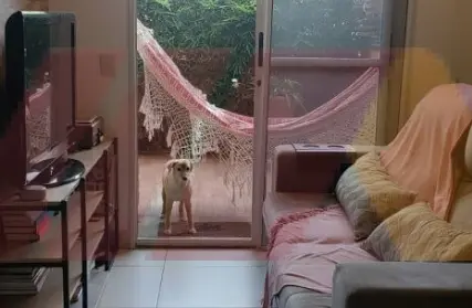 Imagem: Apartamento para Venda, Vila Vitório Mazzei