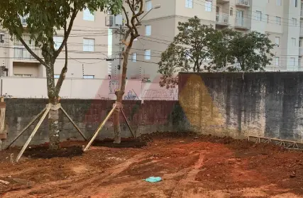 Imagem: Terreno para Venda, Vila Amália (Zona Norte)