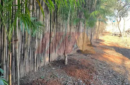 Imagem: Terreno para Venda, Vila Amália (Zona Norte)