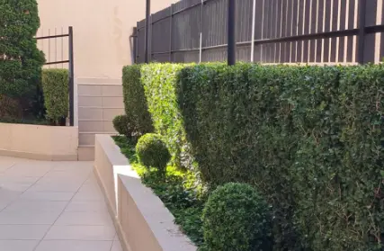 Imagem: Apartamento para Alugar, Chora Menino