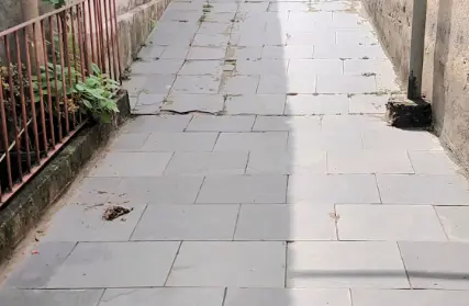 Imagem: Sobrado para Alugar, Limão