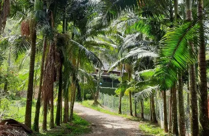 Imagem: Terreno para Venda, Serra da Cantareira
