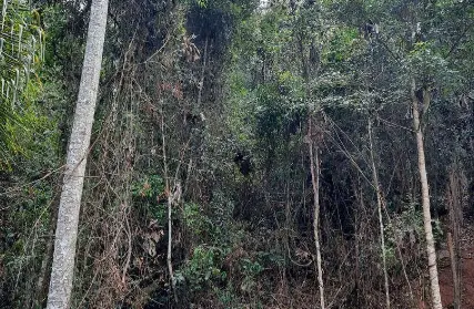 Imagem: Terreno para Venda, Serra da Cantareira