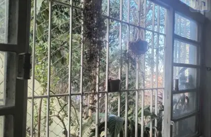 Imagem: Apartamento para Venda, Jardim São Paulo