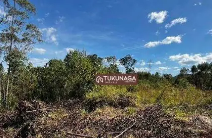 Imagem: Terreno para Venda, Serra da Cantareira