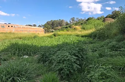 Imagem: Terreno para Alugar, Vila Siqueira (Zona Norte)