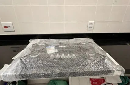 Imagem: Apartamento para Venda, Limão