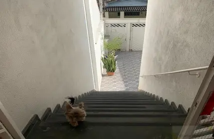 Imagem: Sobrado para Venda, Casa Verde