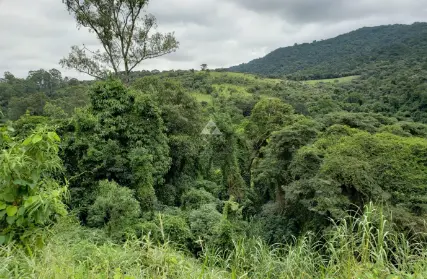 Imagem: Terreno para Venda, Vila Nova Cachoeirinha