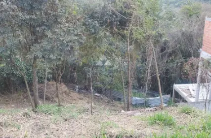 Imagem: Terreno para Venda, Vila Nova Cachoeirinha