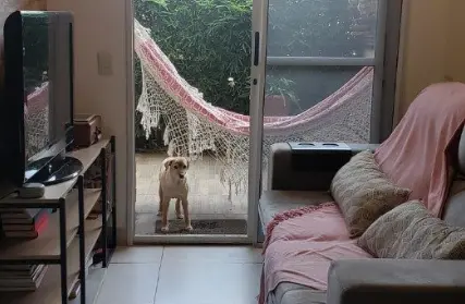 Imagem: Apartamento para Venda, Vila Vitório Mazzei