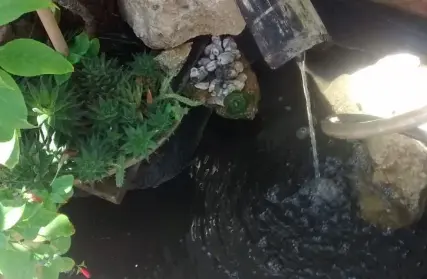 Imagem: Condomínio Fechado para Venda, Vila Diva (Zona Norte)