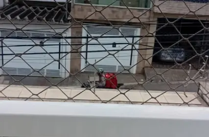 Imagem: Sobrado para Venda, Parada Inglesa